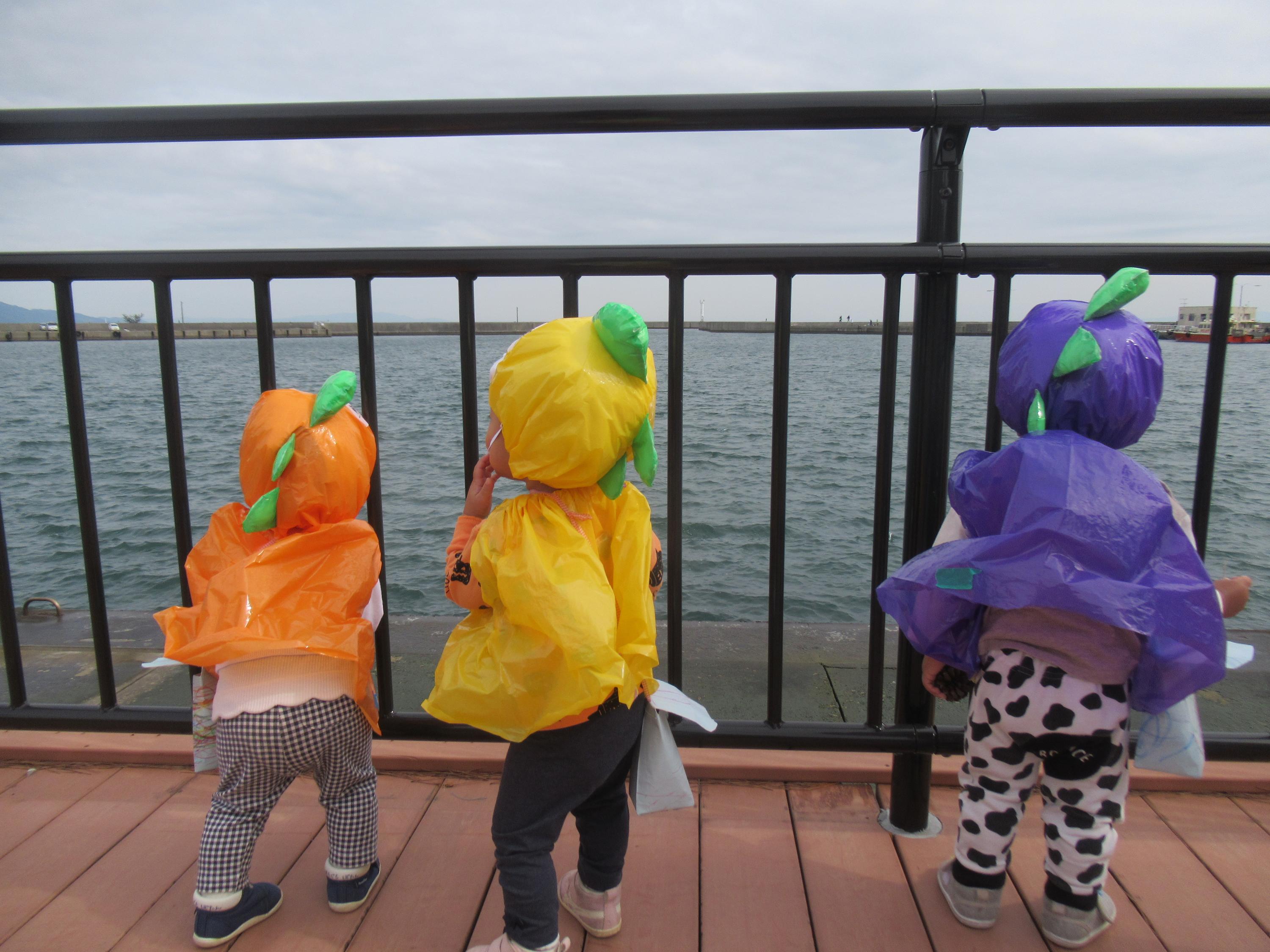 洲本HP用写真(9)